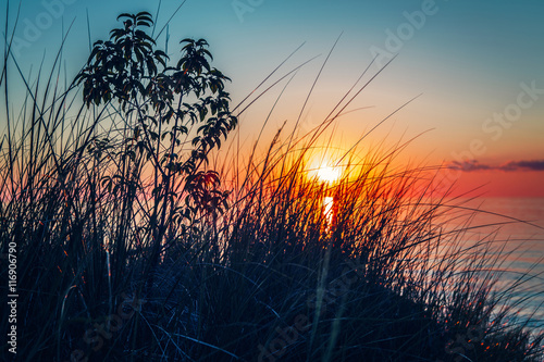 Beautiful evening sunset landscape at Canadian Ontario lake Huron in Pinery Park, orange blue red sky sun, view through grass, low angle. Amazing summer sunset view on the beach photo