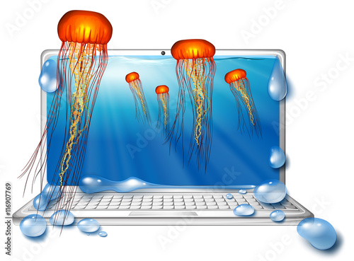 Computer screen with jellyfish underwater photo