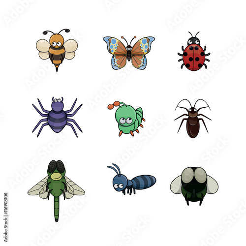 insect illustration design collection © indomercy