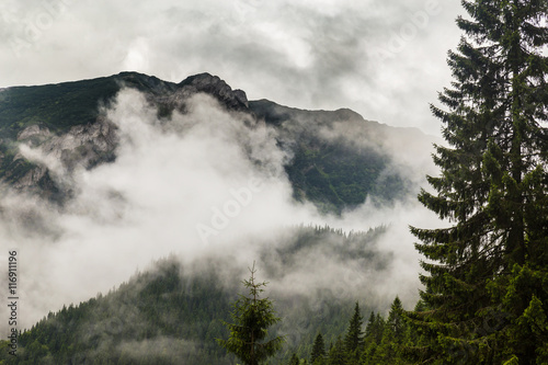 Storm clouds, and adter rain mist in the Romanian mountains, in summer © Calin Tatu
