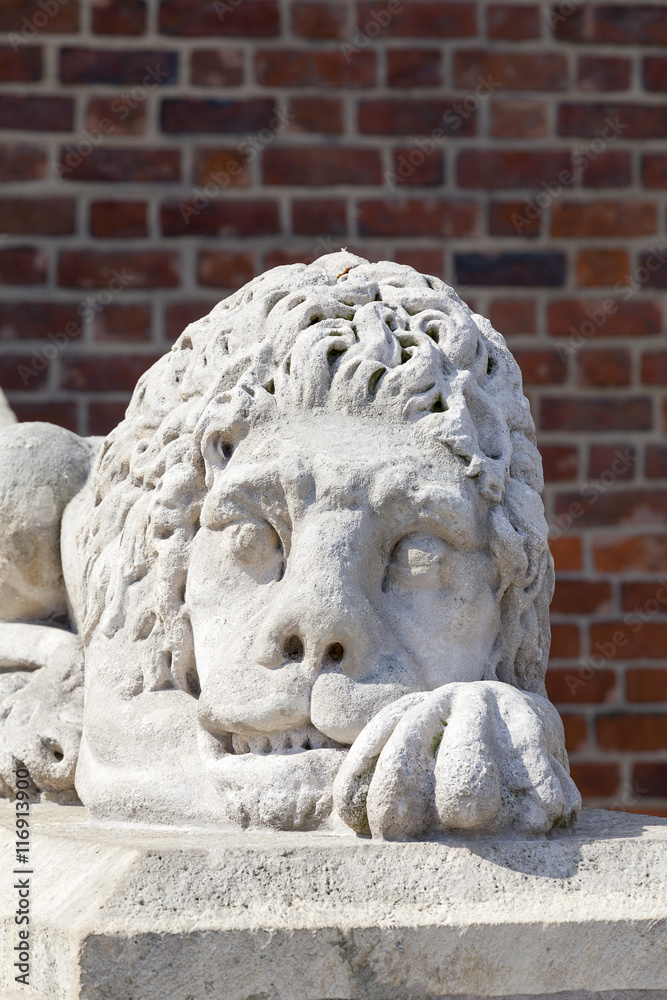 Stone sculpture of a lion, Town Hall Tower, Krakow, Poland