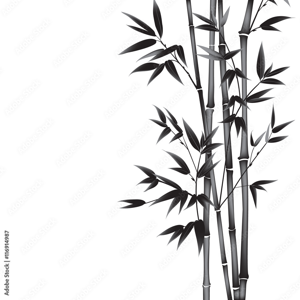 Ink paint bamboo bush. Card with black bamboo plants isolated on white  background. Decorative bamboo branches. Vector illustration. Stock Vector |  Adobe Stock