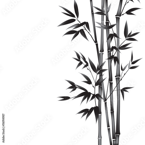 Carta da parati bambù - Carta da parati Ink paint bamboo bush. Card with black bamboo plants isolated on white background. Decorative bamboo branches. Vector illustration.