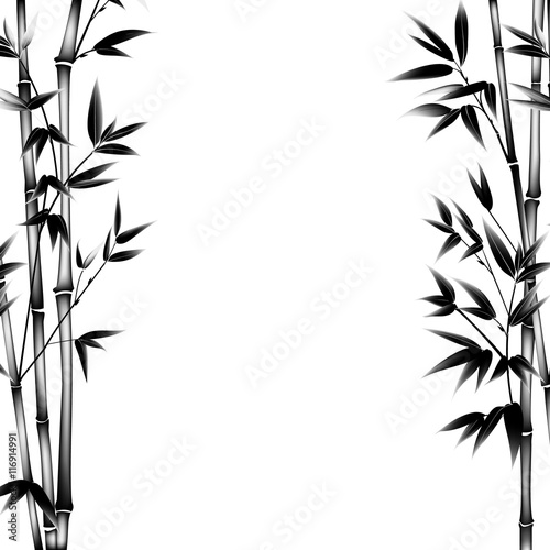 Ink paint bamboo bush. Decorative bamboo branches. Card with black bamboo plants isolated on white background. Vector illustration. © Kotkoa