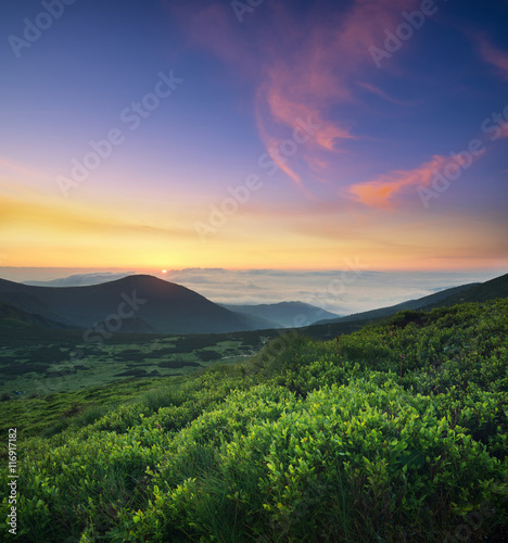 Grass on the mountain field during sunrise. Beautiful natural landscape in the summer time