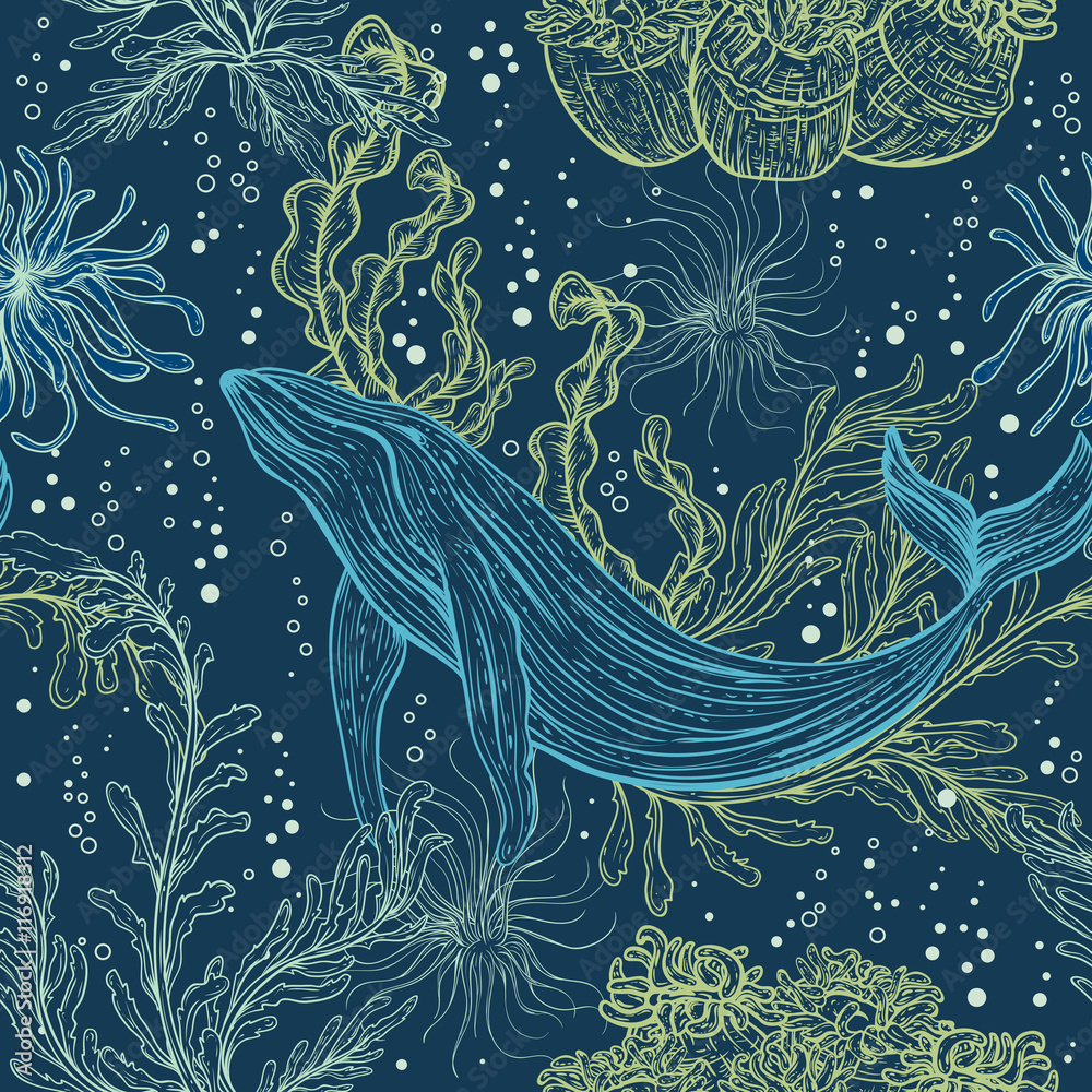 Obraz premium Seamless pattern with whale, marine plants and seaweeds.Vintage hand drawn marine life. Vector illustration