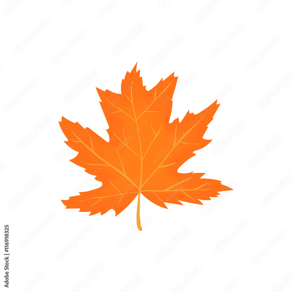 Fototapeta premium Autumn leaf icon in cartoon style isolated on white background. Plant symbol
