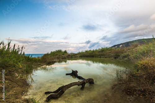 The landscape of the Bay of Inal. Summer landscape: a snag in a small lake near the Black sea in the Bay of Inal