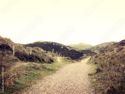 Lonely footpath through a beach dune landscape on Sylt. 