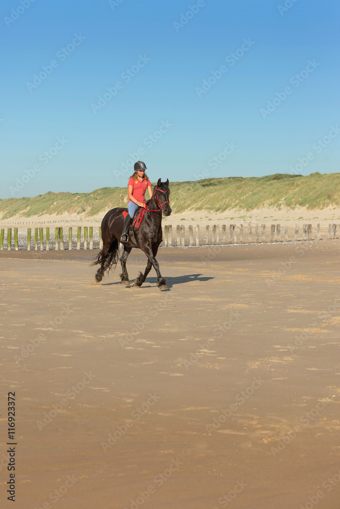 Naklejka premium cavalière au trot sur la plage ensoleillée