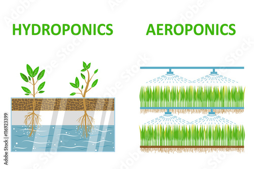 Aeroponic and hydroponic systems. Colored flat vector illustration