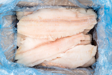 frozen fish