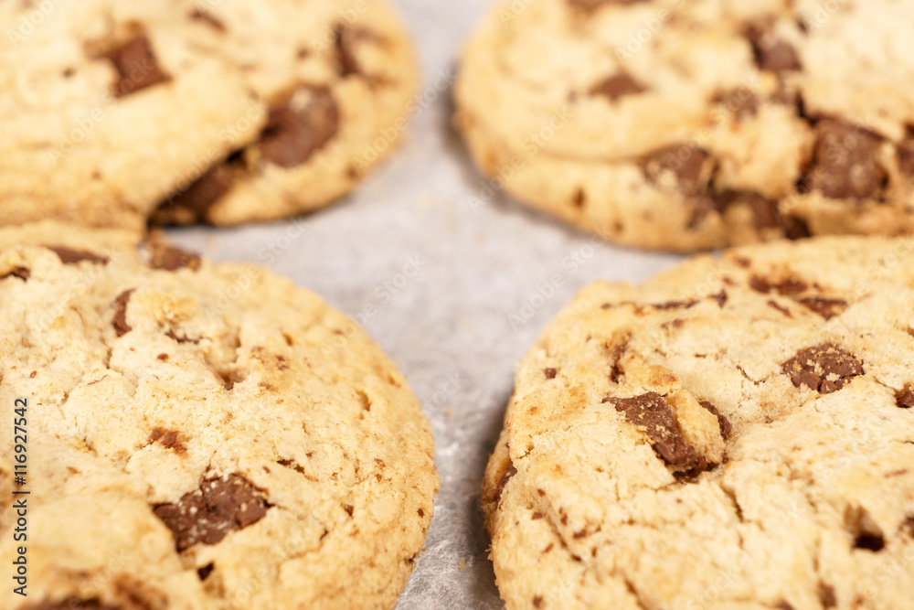 Round soft bake chocolate chip cookie close up Round soft bake chocolate chip cookie close up