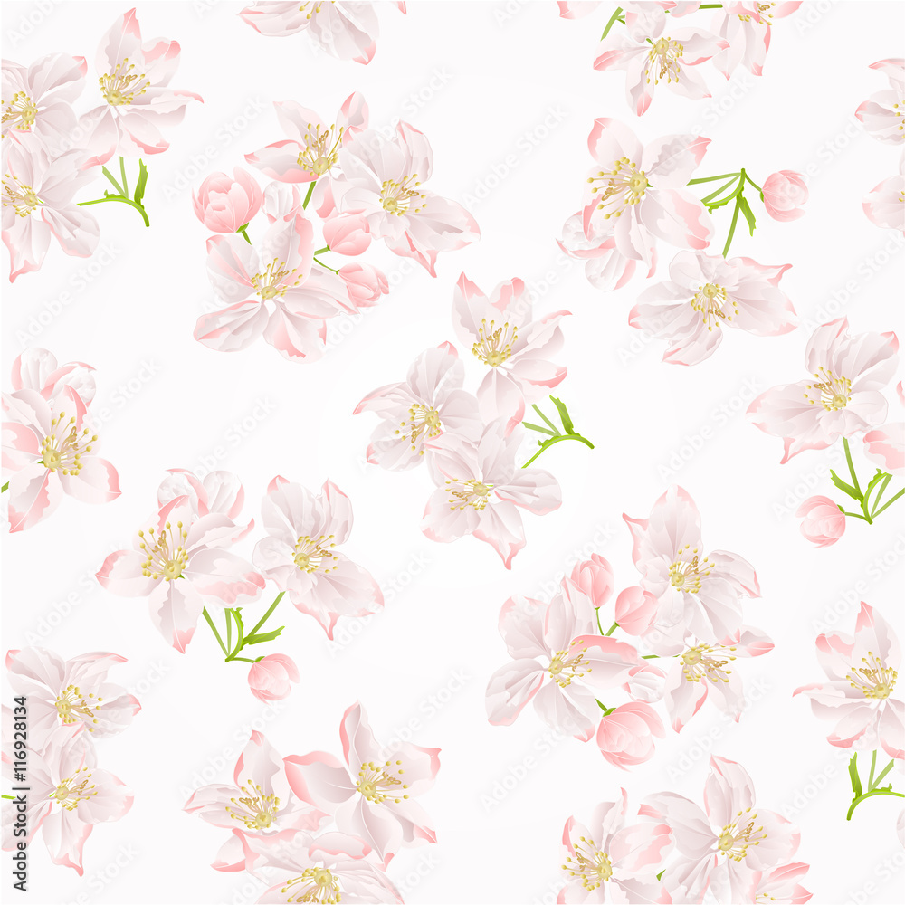 Seamless texture branch of apple tree with flowers vector illustration