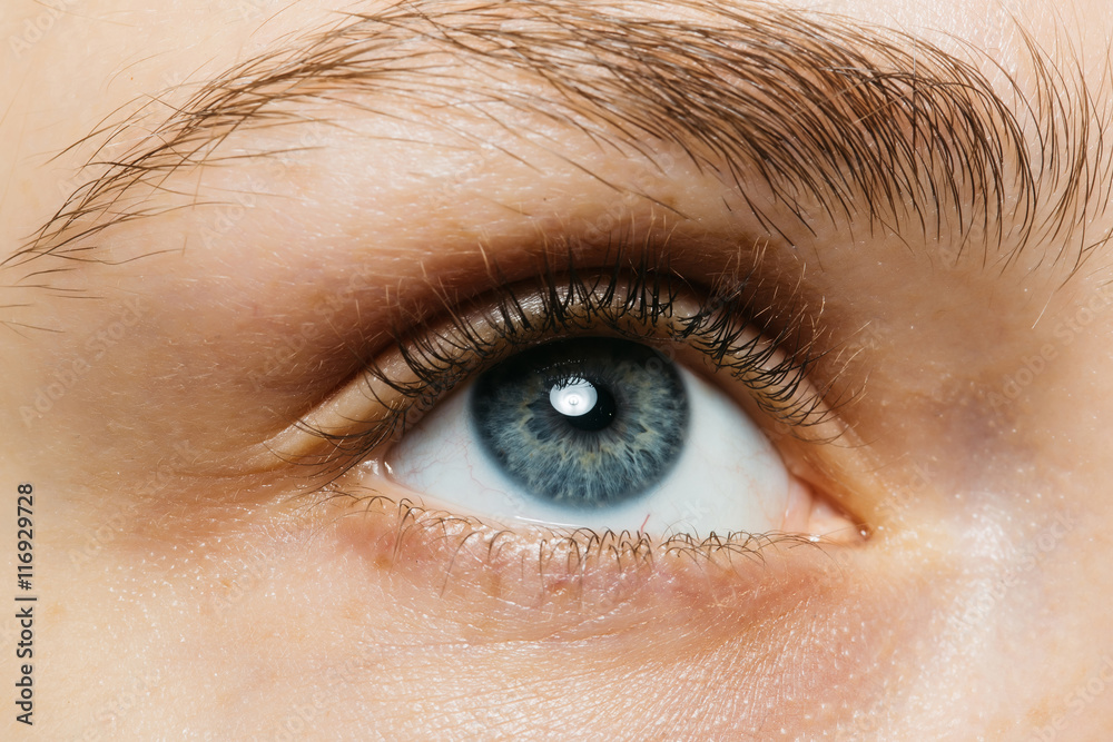 Close up of a blue eye