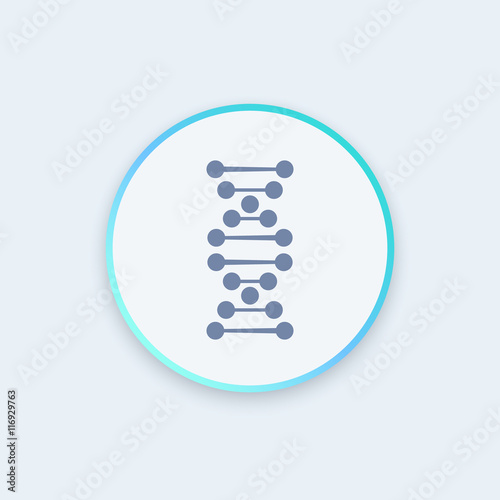 dna chain icon, gene research, genetics, vector illustration
