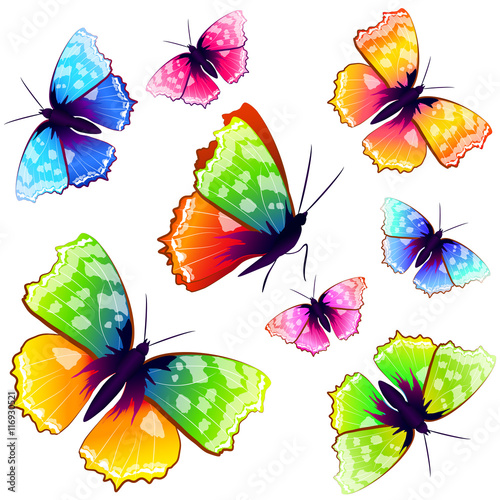 butterflies design