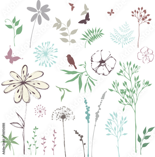 Hand drawn floral set with leaves, flowers, dandelion, grass, bird and butterflies. 