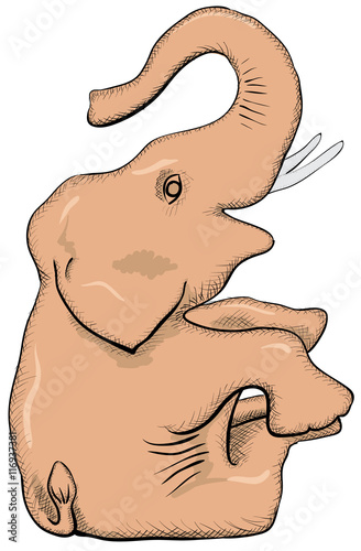 Vector simple drawing - elephant