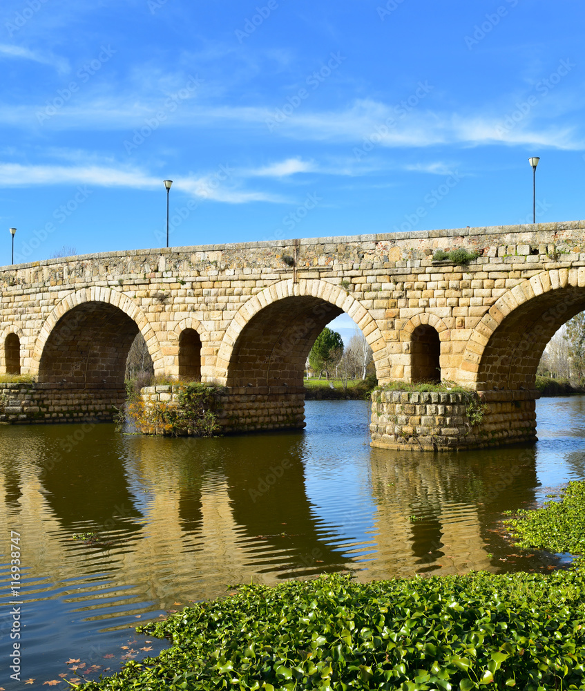 Puente Romano bridge in Merida, Spain
