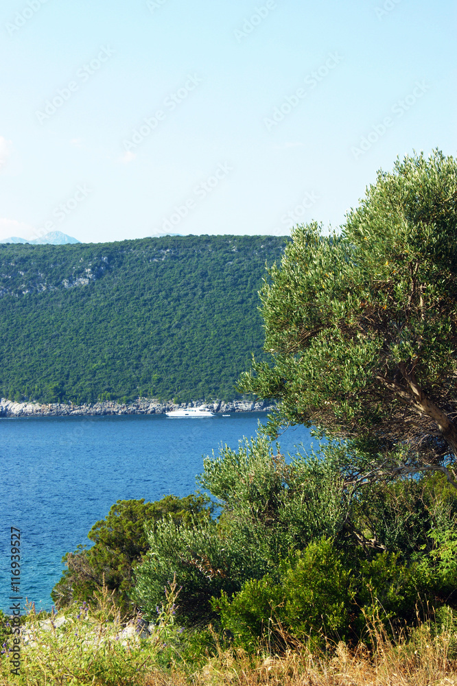 Bright greens on the seashore