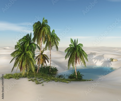 oasis in the desert. palm trees and sand.  