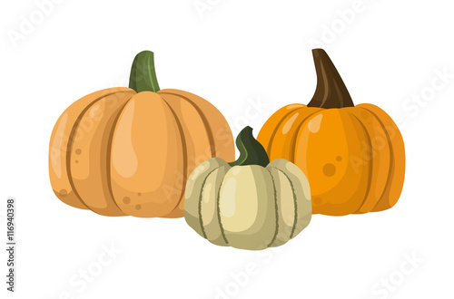 Autumn collection of pumpkin set elements design with different pumpkins orie...