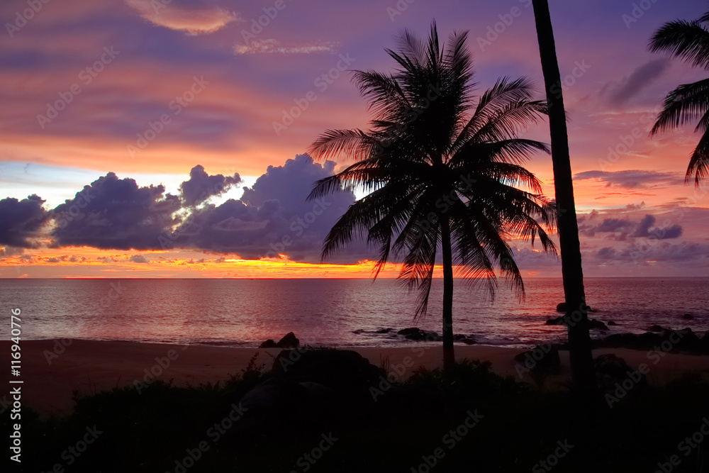 silhouette of coconut palm trees and sunset  on the beach 