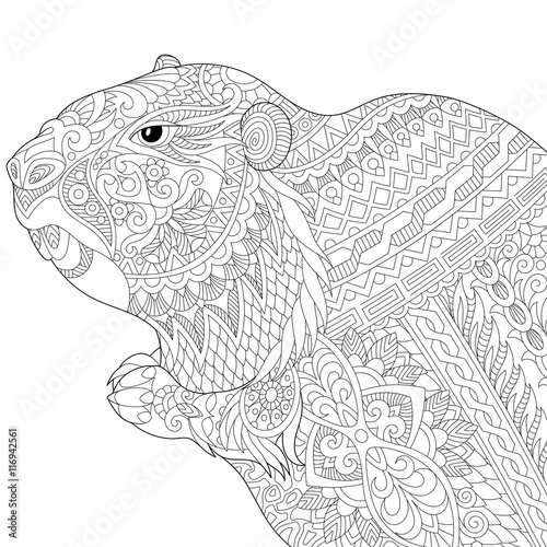 Fototapeta Naklejka Na Ścianę i Meble -  Stylized groundhog (gopher, marmot, woodchuck or beaver), isolated on white background. Freehand sketch for adult anti stress coloring book page with doodle and zentangle elements.