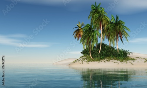 Fototapeta Naklejka Na Ścianę i Meble -  tropical beach. palm trees on the beach. Island in the ocean.
