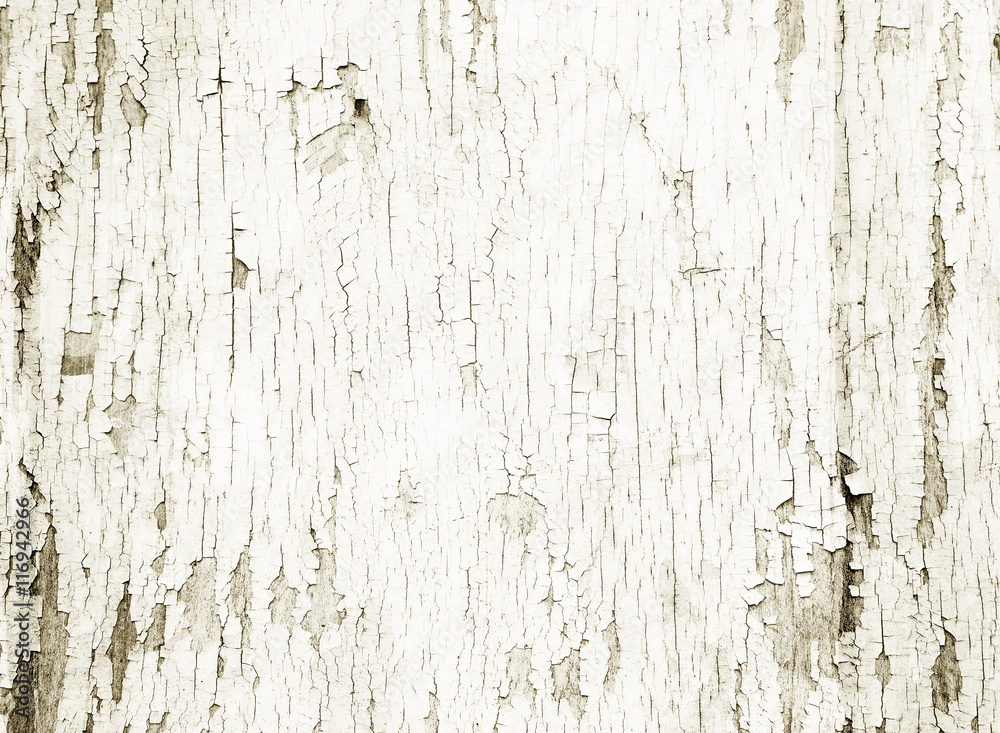Wood texture for artisan design Wood texture for artisan design