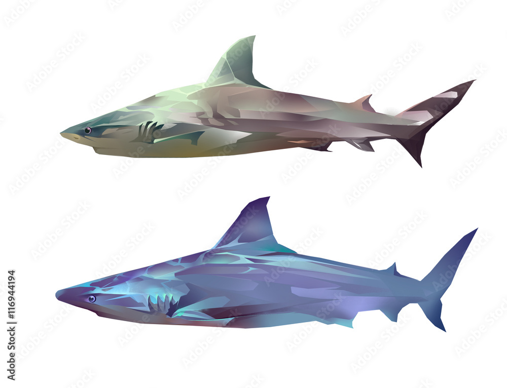 Fototapeta premium Two sharks on a white background