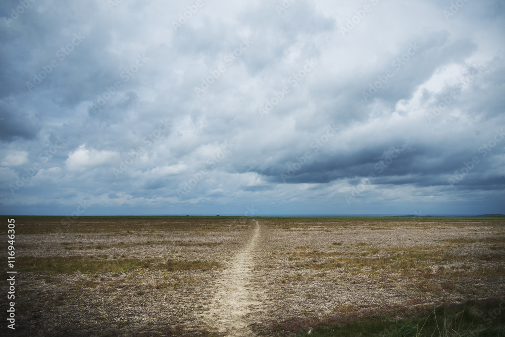 Walking along the ancient Ridgeway path through the county of Berkshire. Walking along the ancient Ridgeway path through the county of Berkshire.