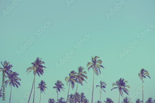 Coconut palm trees at tropical beach vintage filter