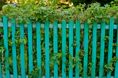 Old wooden green fence on the background of beautiful green trees. Russia
