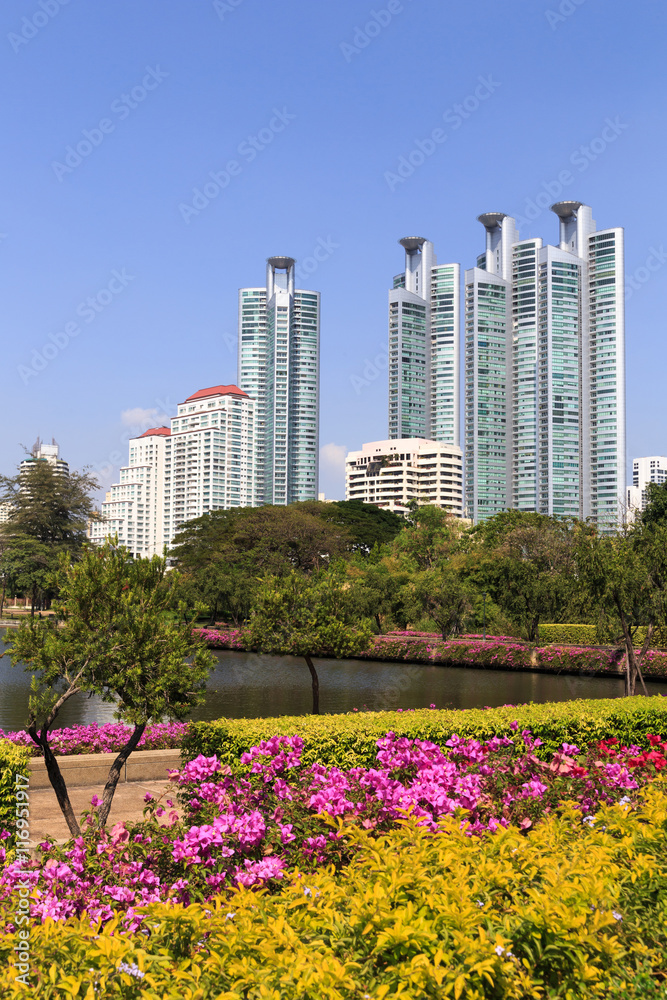 Park in the city. Park in the city.
