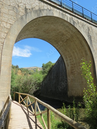 Espagne - Andalousie - Pont entre Montejacque et Benaojan photo