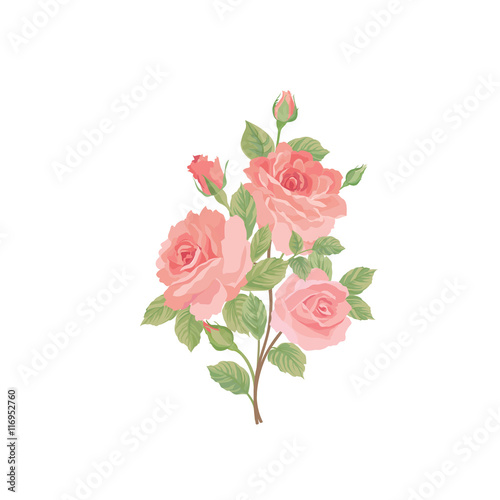 Flower rose bouquet. Floral posy isolated over white background