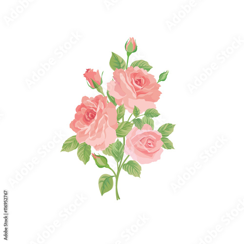 Floral bouquet isolated over white background. Flower rose posy. © Terriana