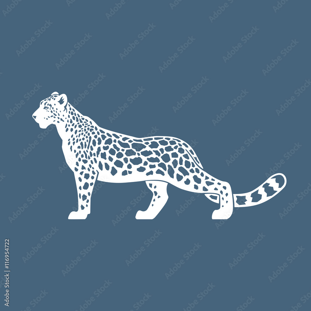 Fototapeta premium Snow Leopard vector illustration logo, sign, emblem on blue back