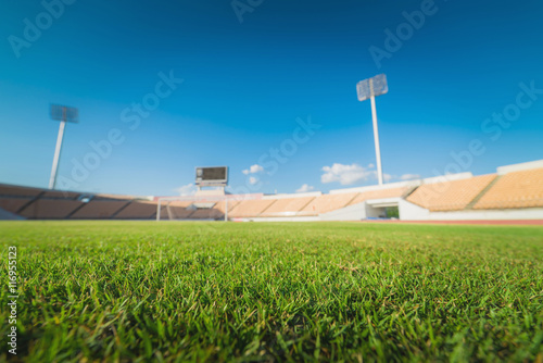 Green grass in soccer stadium