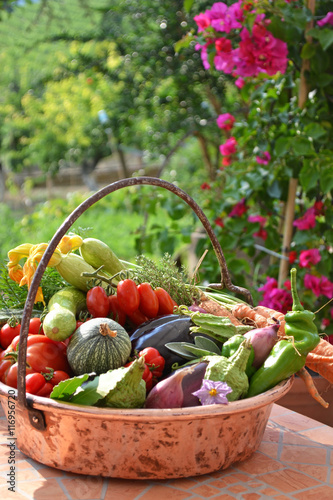 Cesta piena di verdure bio raccolte dall'orto