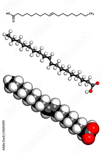 Elaidic acid trans fatty acid molecule. photo