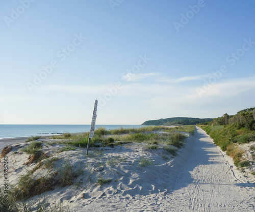 Path on a dune on Hiddensee Island, Germany