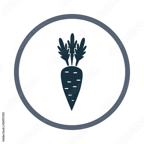 Carrot simple icon on the background