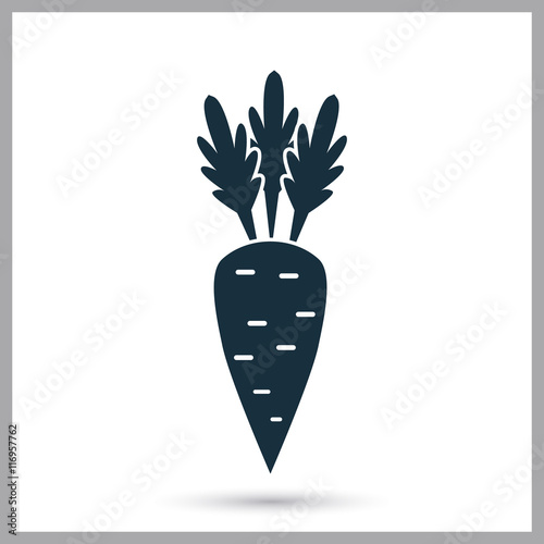 Carrot simple icon on the background