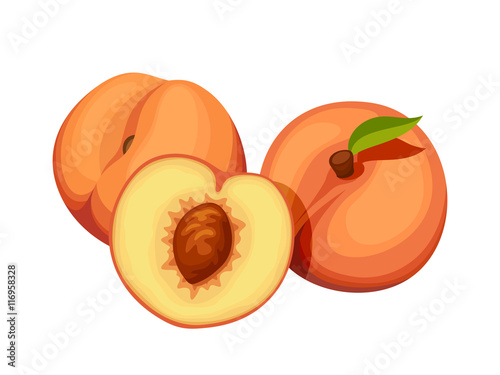 Vector three peaches isolated on a white background.