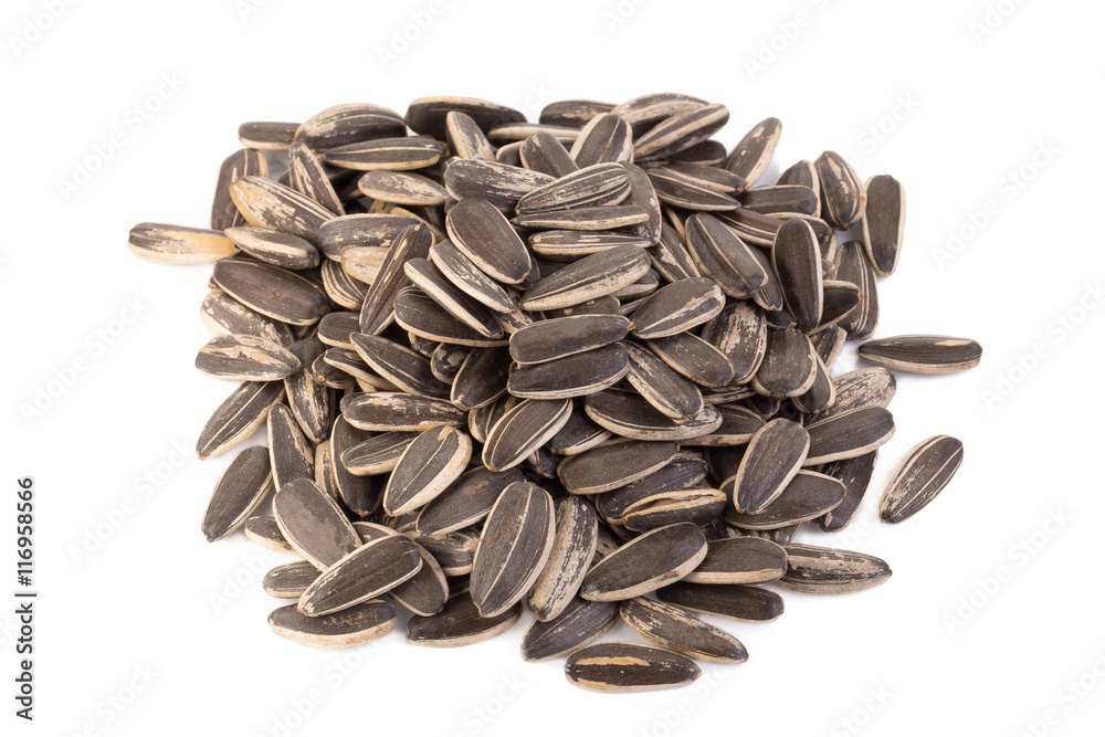 sun flower seed on white background sun flower seed on white background