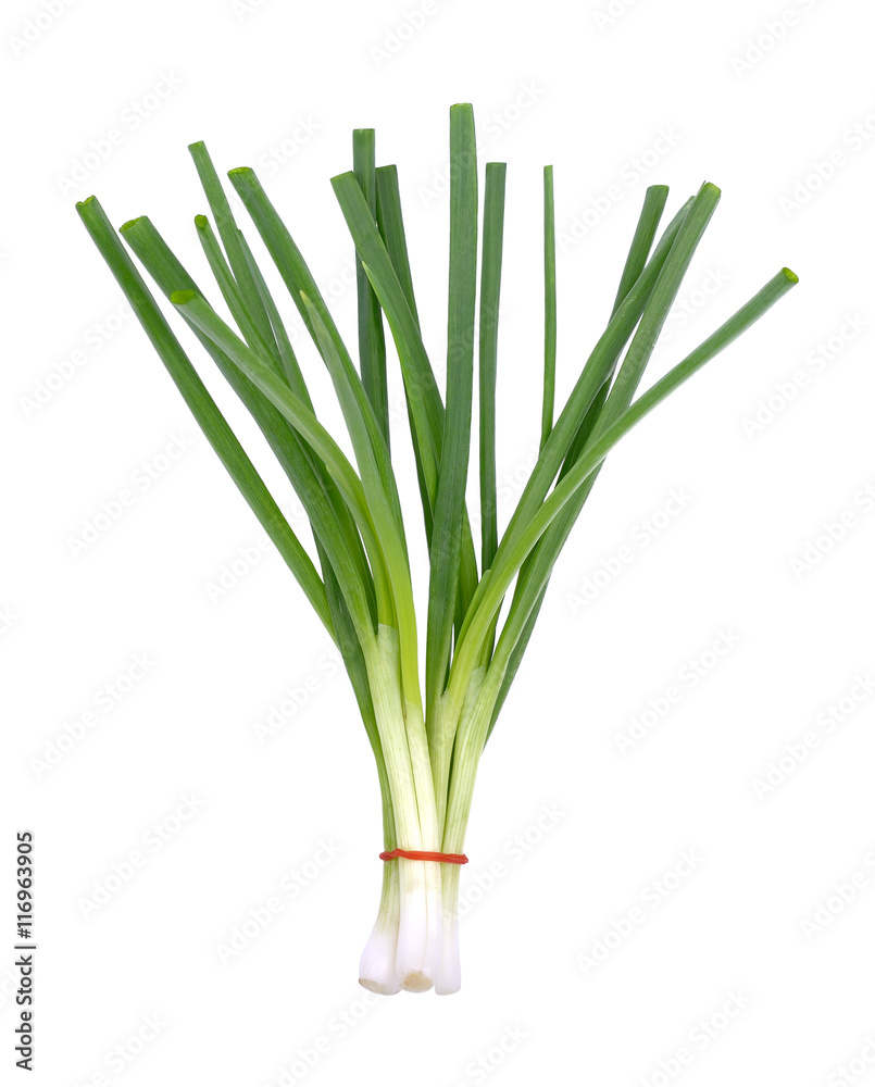 Green onion isolated on the white background Green onion isolated on the white background