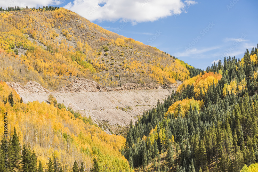Fototapeta premium View on San Juan National Forest during golden fall with road in Colorado